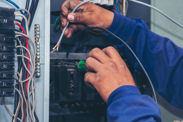 Best Electric Panel Repair  in Watervliet, MI